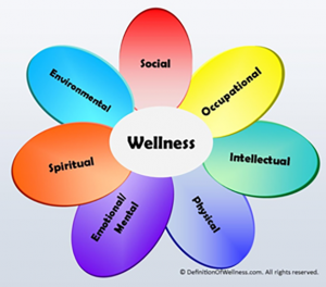 case to care management and wellness