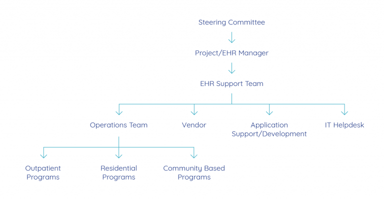 ehr governance model